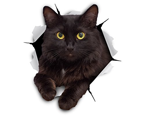 Winston & Bear 3D Cat Stickers - 2 Pack - Cheeky Black Cat Decals for